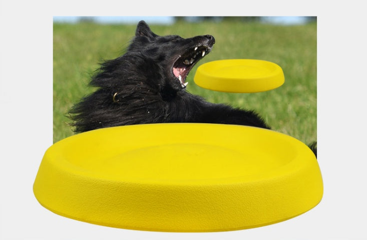 Throwing Plastic Toys