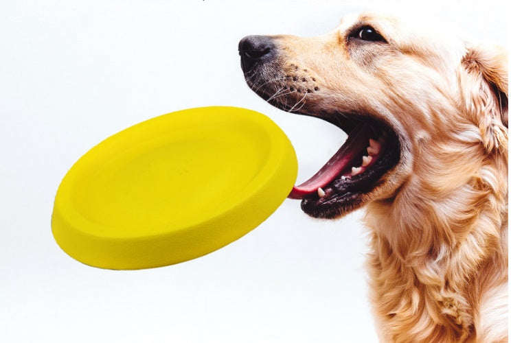 Throwing Plastic Toys