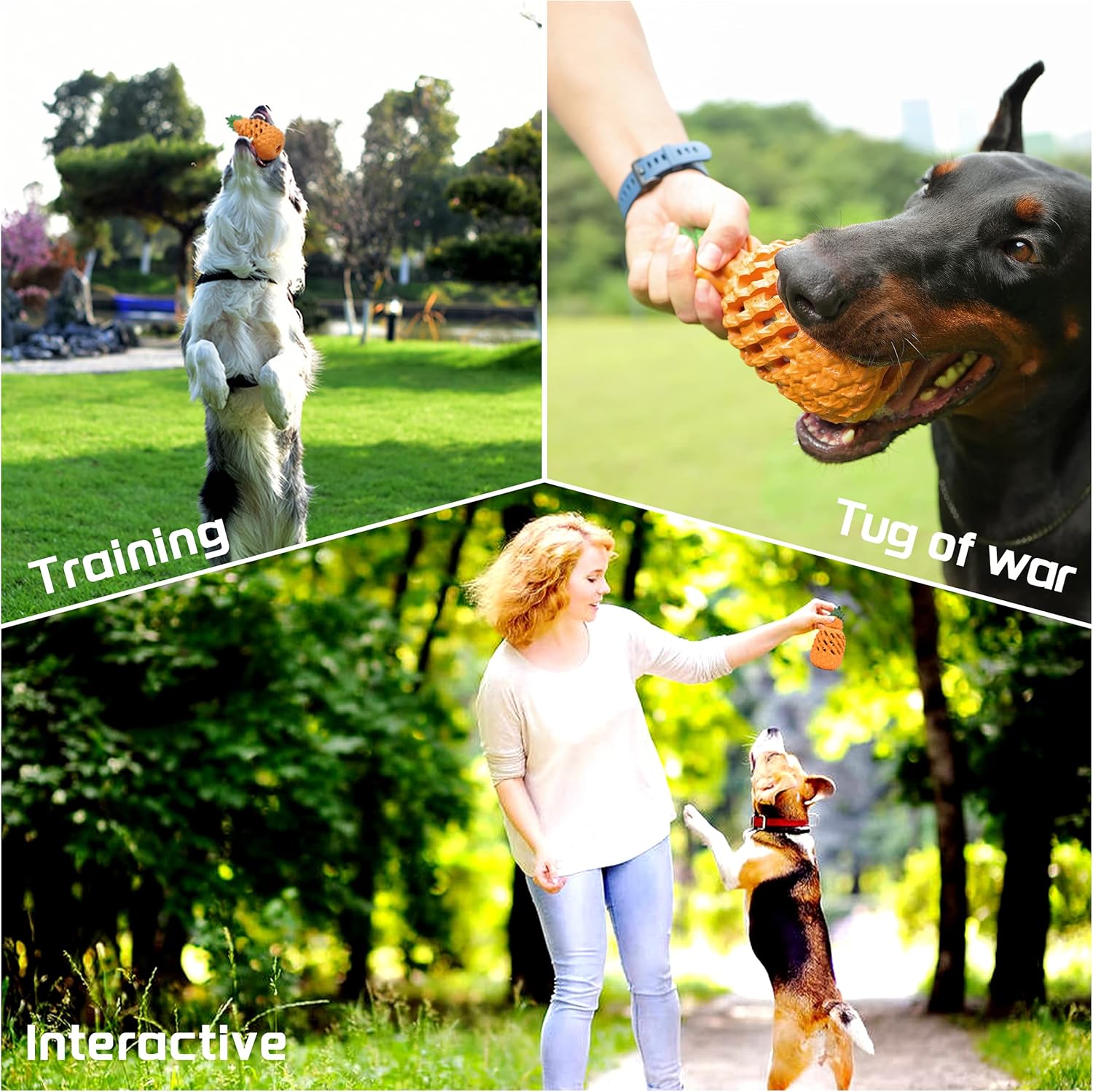 Dog Toys
