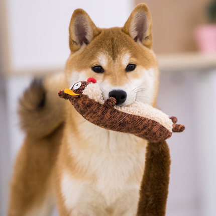 Plush Sounding Toys
