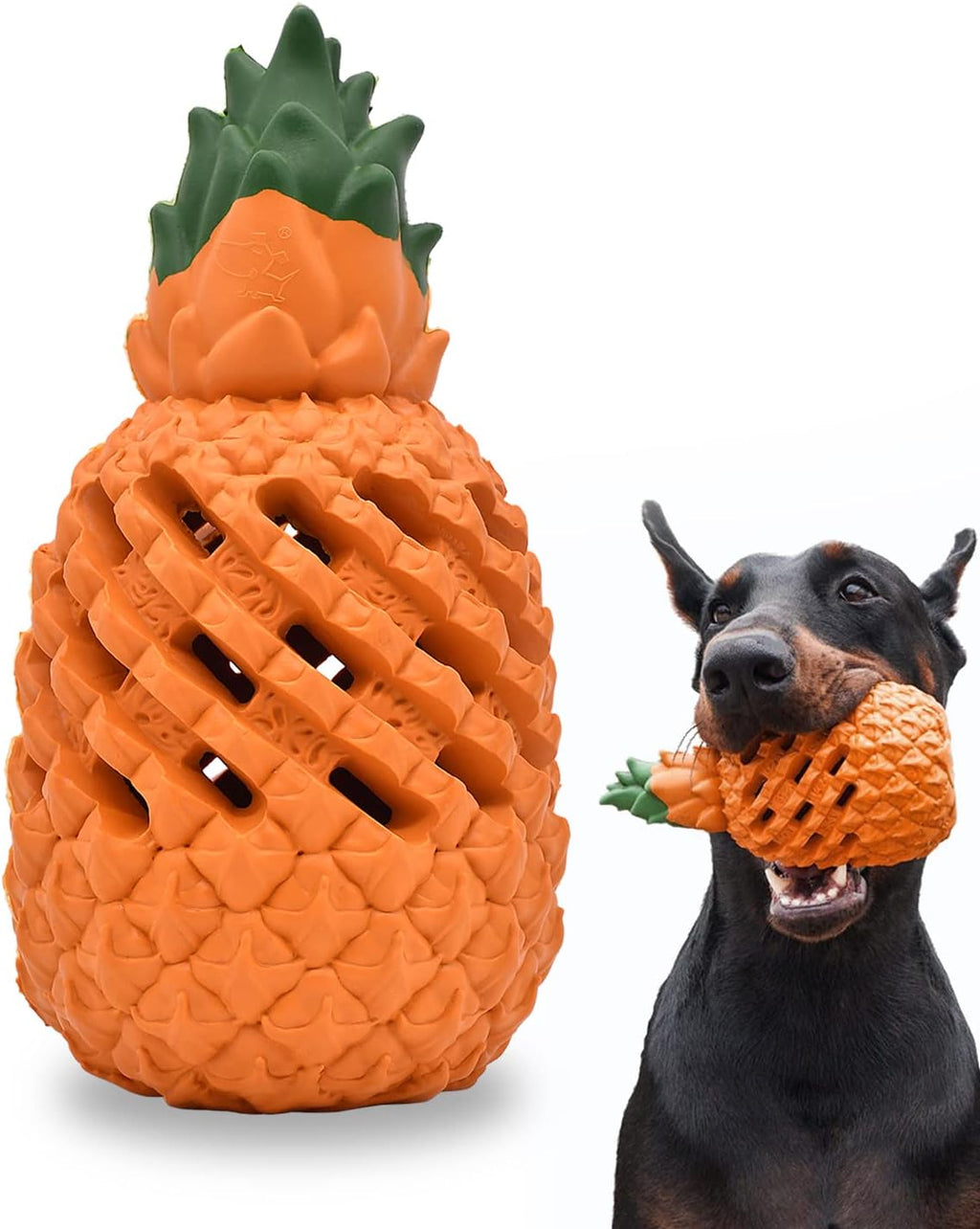 Dog Toys