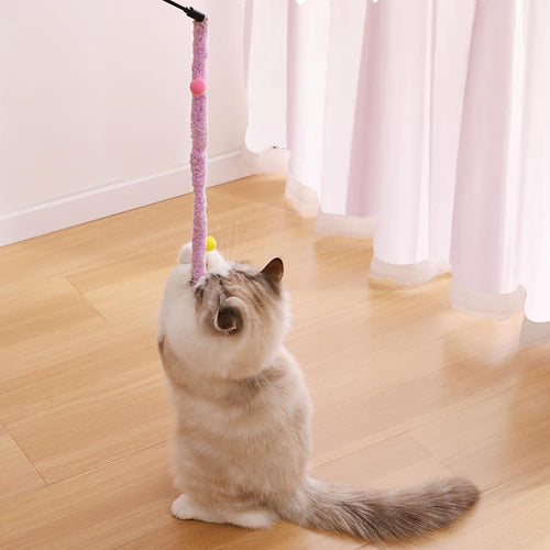 Cat Toys