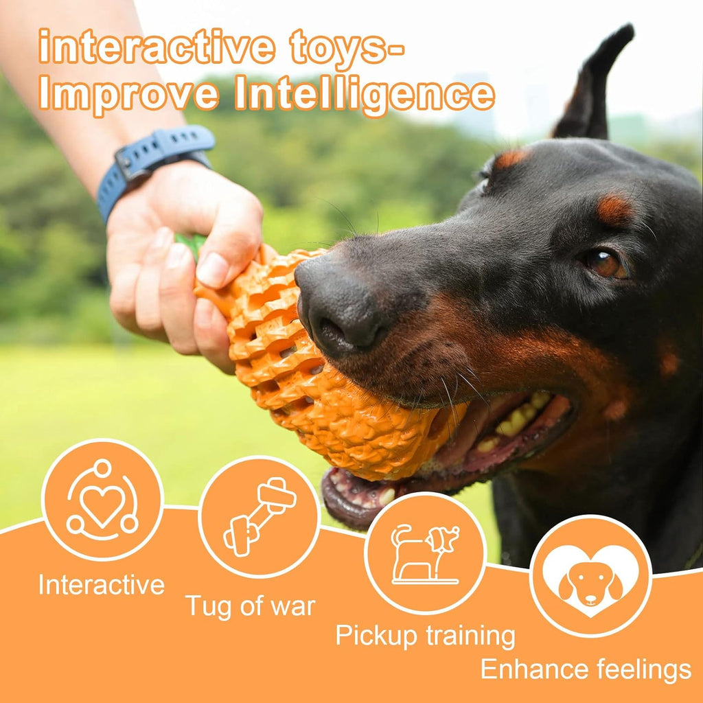 Dog Toys
